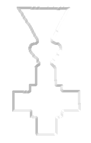 Odlikovanje Srpskog Društva Crvenog Krsta - Za uspešno obavljene transportne zadatake u kampanji (2 i više)